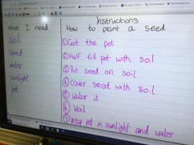 Planting Seeds